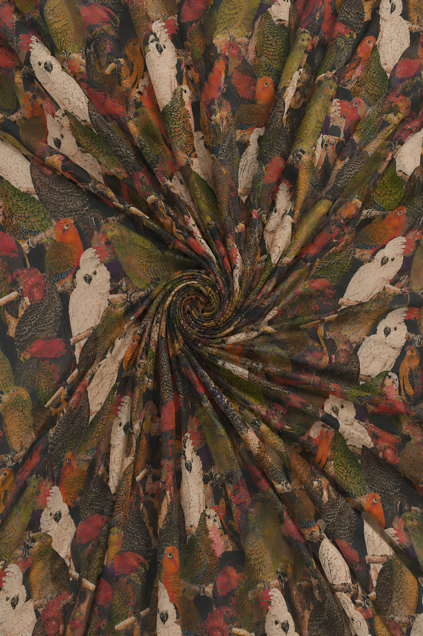 Wings Unbound, Cotton/Modal Stole- 28x80 Inches